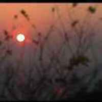 1cd7526b075b0d99cbcd5cb9f5f7b3b69870d773