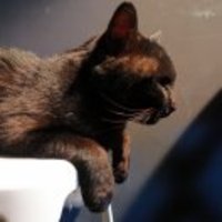 C158946afb226e99ae692f9fbfc52b6a70898d1a