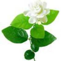 4b8dbcd407de8a23d4570b3c84175c10b2cd9a17