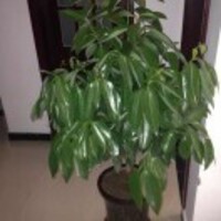 437a58f6af805a2d65b42dea306bfe417d76cc50