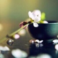 45fecd662cea51990482d1a3622a88ebfc390972