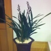 3969e18d3e31b070f6223e2720a6f6b3f8b676dd