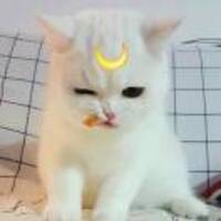 6322c240078ffc1a80feb31f495234eca37e1536