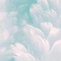 3f6aaf77ad76fdb3ffed16e7c5a9bf82cf704741