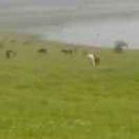 E1a4f40fc46e1a473296436ac7675cc2e2f1ed08