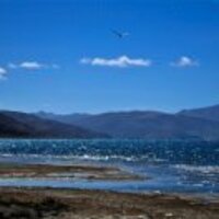 A6d6568d6bc8cbb4b05d05fcac4f6e70d44ef47d