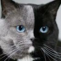 B784ef686dff7a7cc142c38212d4b09637b36797