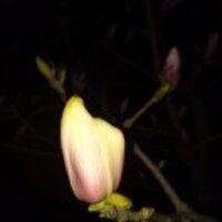 35aeb2f4b743560587b11e18fe9bdc34971cbf2d