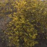 D6ef9ab6760c30f524204498e93678286029550e