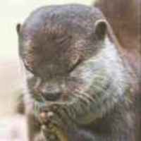 7bc505a0e8c9b42ba969290a5f019f2081acc589