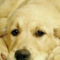 Ca10a090fad32b18124b0c813a183ad8550b9519