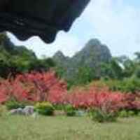 C9f5a017cb9a5f5674aedbe0e414874ead1ef7fb