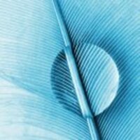 9598f18907ec167e53aac871e9da5518e9b849b5