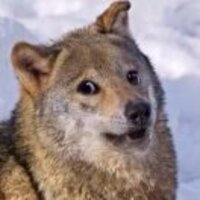 Da5605efdd1efb2921962dd99158847cc294bb0c