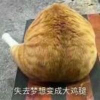 8c94d4cadae4e60c70c10887b1a365fe414859ff