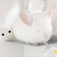 B9b670ee4f19351b14c369ac998cded8b121c77e