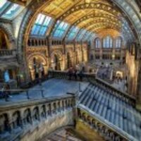 41da8de8d39b1a6bedb5a7e52fad870b70703ef8