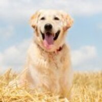 0dcc1c32ebcd15cb36ca5f170e1f430190b15623