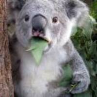 074b81479edce910647b3f92d66cc7b717598948