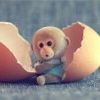 Fdbcc0aa2093695e217f141c99b63437b094194f