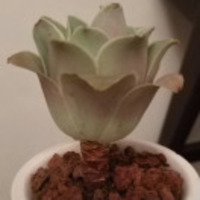 C3d84565a2ab8878117e058b0c81d0216fe29ee5