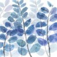 D703a7a6a72ac4d0a571eaeccc94ee542bc19a49