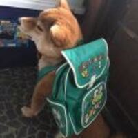 C8f3ed350e3e0736672516354d4683ea726f312e