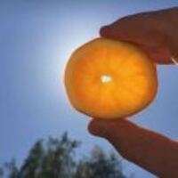 C8d1e1d6b7510bea3f5af0901f841ebfb9590eb8