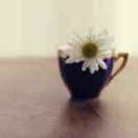 678998205b7fa871b8bb294ea7c2ad159cf7f92c