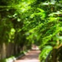 1cfcd777e083834b73429686cf9cf5868966dcb9