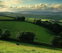 Ffcf4ea0f5d20e5832b5c9b9f03daa37533a9701