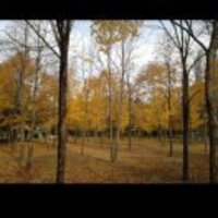 F84e7e93613b102284b109bbcc4fa748e358ba28