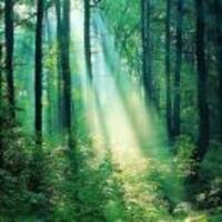 014b2c7c210d20e19a03269e91079ce7b26b94c7