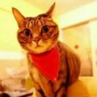 184c29db2cf442db86c847f96a8535804949f248