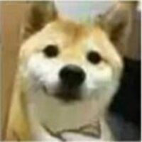 F8c38a66c09bbaf17738e97e14d0ee150779e7bb