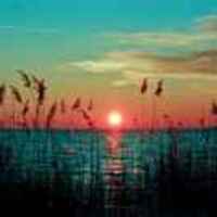 F5c45c921bd22fddbe2b17901ab05cc4230167b8