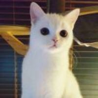 Edafced6bfcf53cab95fb434ded0304e7115fe45