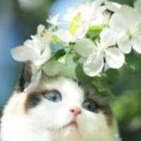 B993aa5774b8b9eee72941a89813b749167f71a8