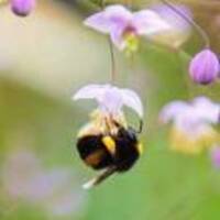 0afafec2c0d1943100161d240837abe9a8030fe0