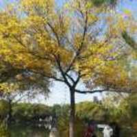 7e180e95bfee725c2f5907c860a5a2eefbf90b8d