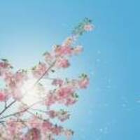 681dd3ddbe38bb068da98b15a323ddeca92274b2