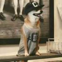 A1d2a45d189662355162fe800b064c9cdc2bee52