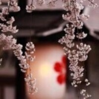 A802b1b804006c0162defde6dffa5a59778489a4