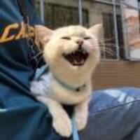 2ec3326c8cac806df69345899c2945b976e67962