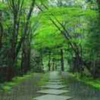 D8682f188e78cf28075587e6660bc2b983287a85