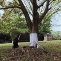 2f0bc11e335cb3d6c3bb842e1832d39a871817ae