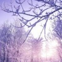 C8965b59d18618900f659abe5bd5a0f3d0c973a3