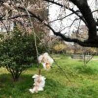 E4b193730489b92c78838d14f28f5efa756d0c04