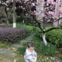 6fd9bee6c546e2b9fec1efcbf6ab983be903a0f2