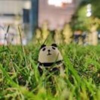 805755d986abdefc67ceb740411b5d6b57cf26c8